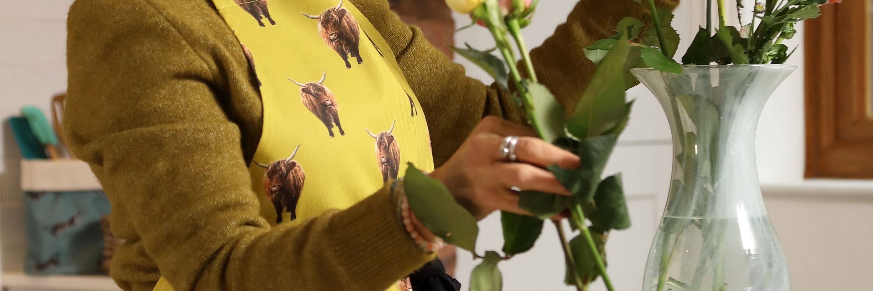 Highland Cow Collection