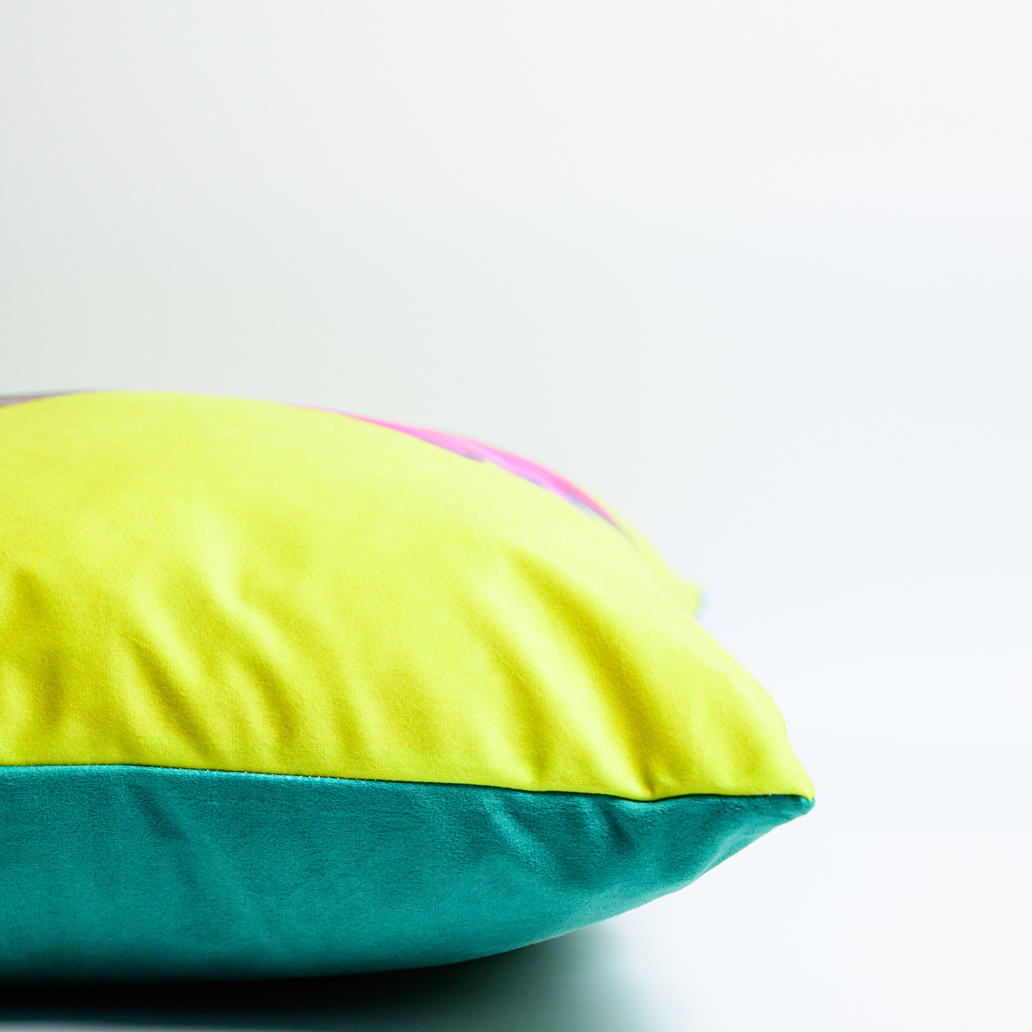 Side view of humming bird cushion by Tracey Cooper