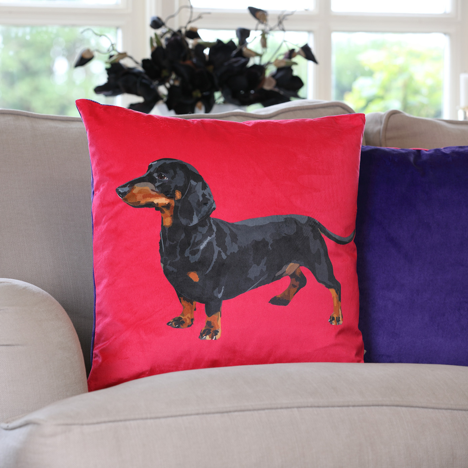 Sausage dog velvet cushion with hand-illustrated Dachshund design by Tracey Cooper Homeware