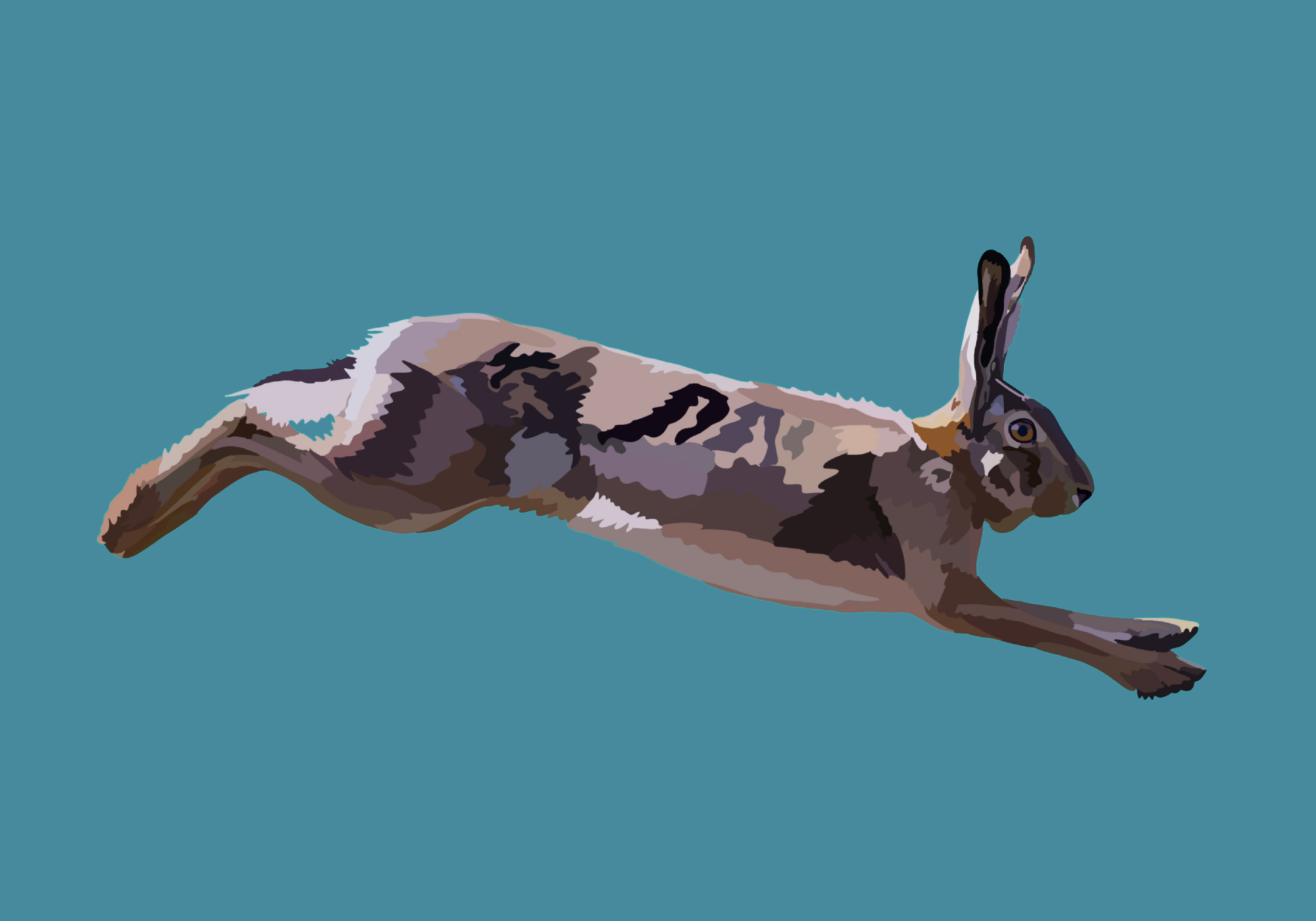 Running brown hare