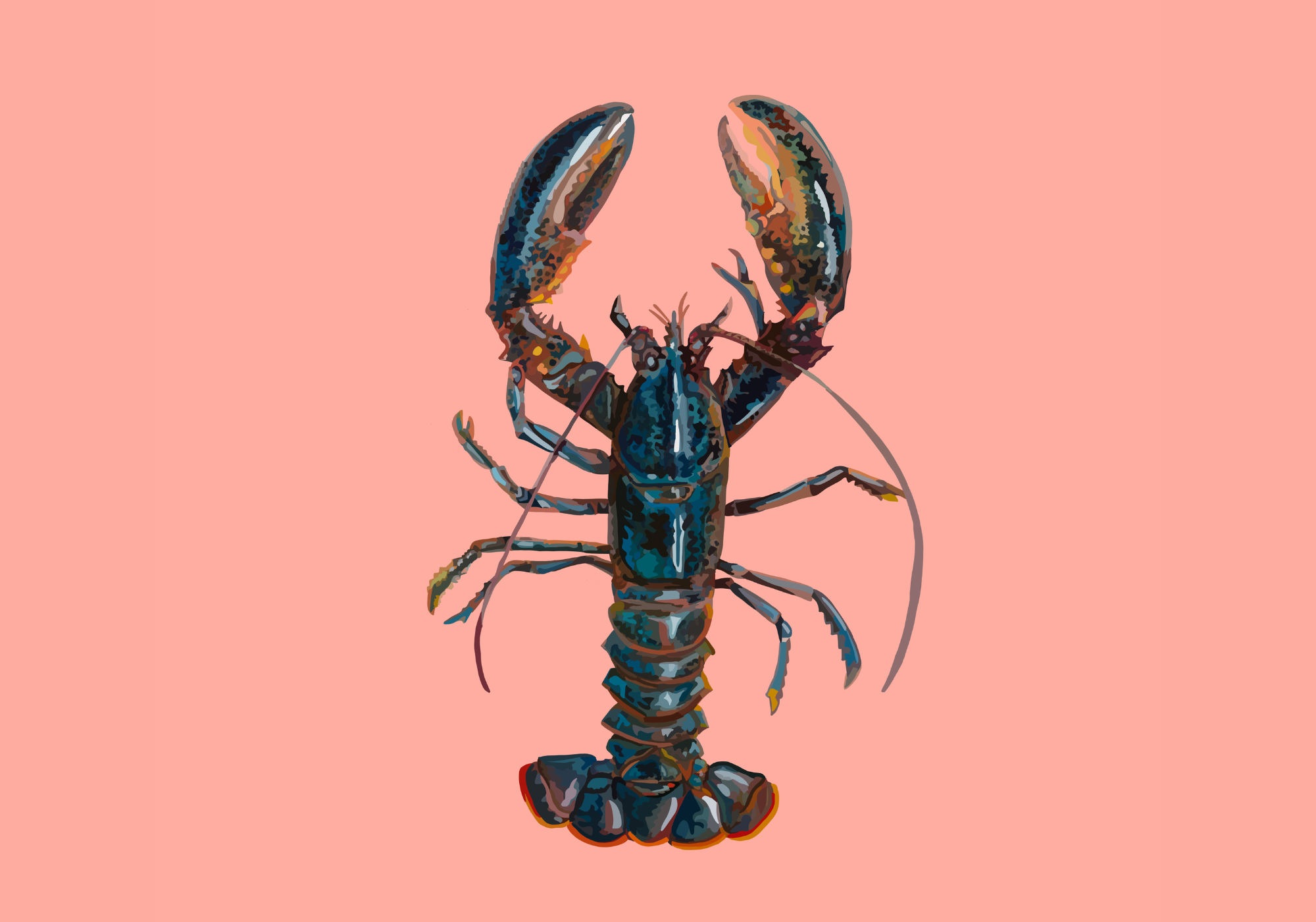 Blue lobster on a pink background