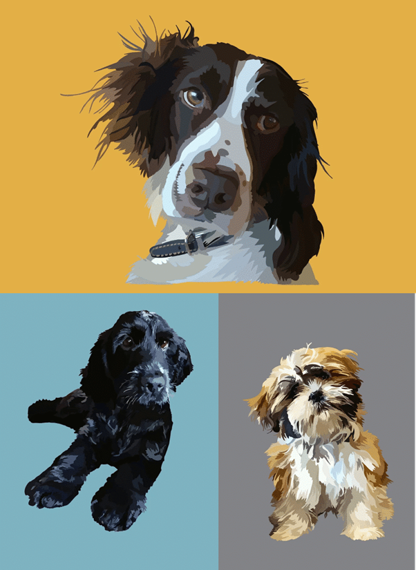 Pet Portraits by Tracey Cooper