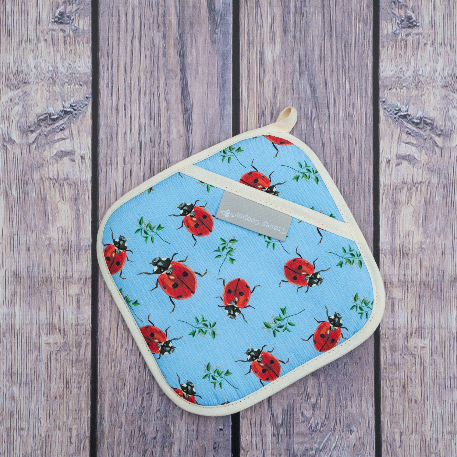 Hand illustrated ladybird pot grab red and black design