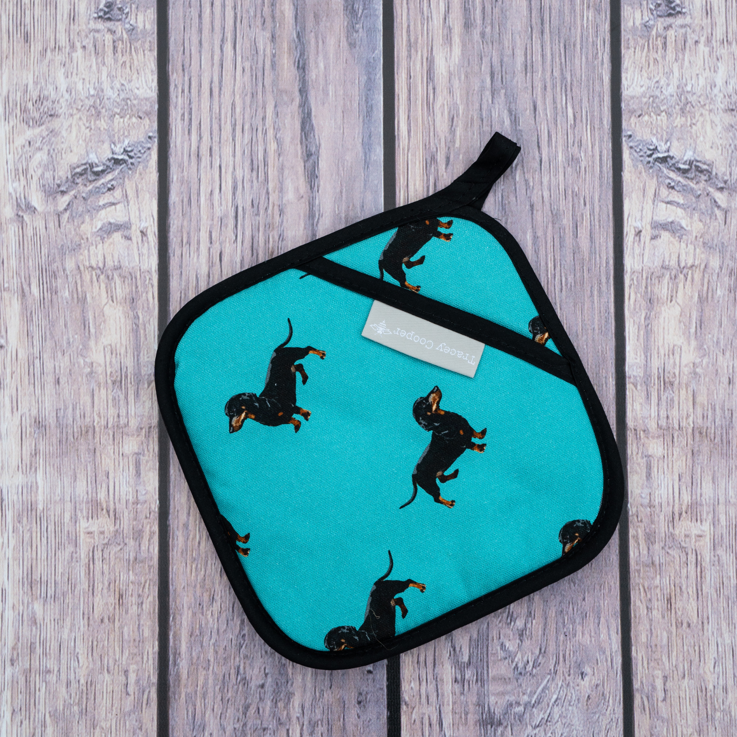 Dachshund pot grab teal background hand illustrated