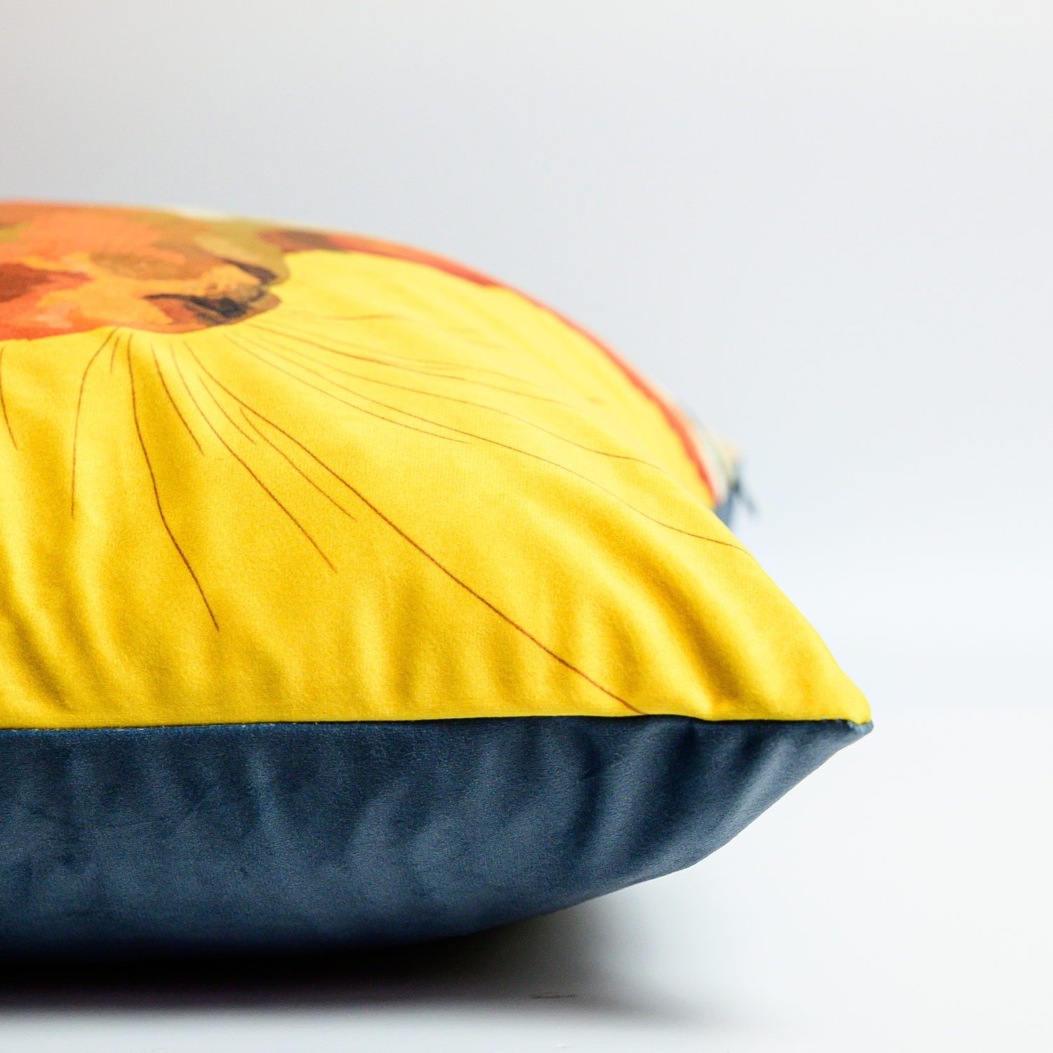 Side view Squirrel Velvet Cushion